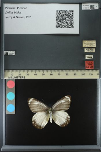 Media type: image;   Entomology 192049